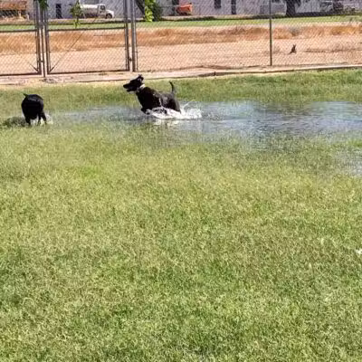 Esteban Park - Phoenix, AZ