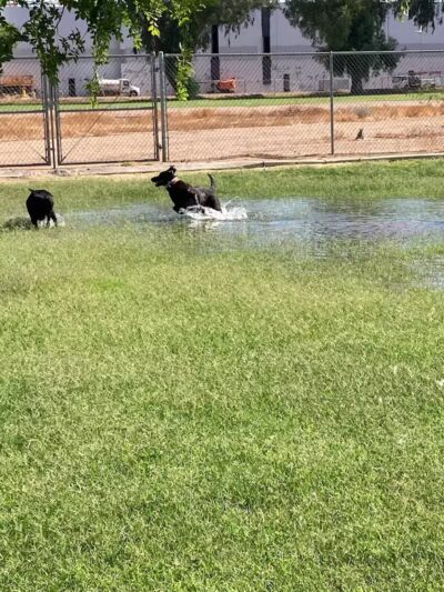 Esteban Park - Phoenix, AZ