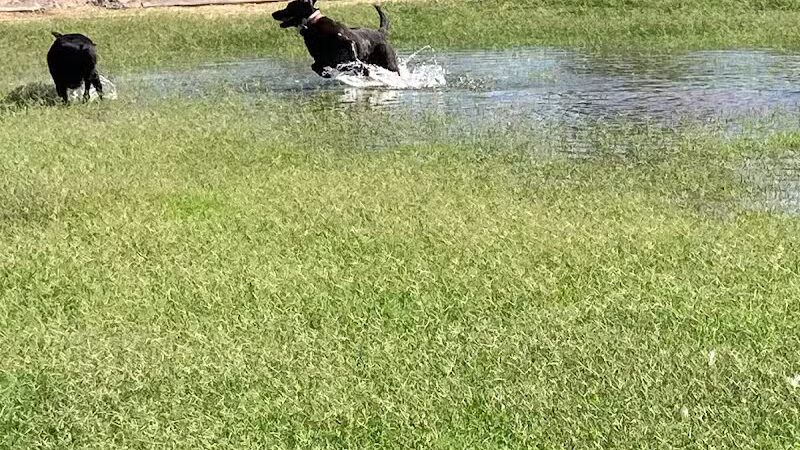 Esteban Park - Phoenix, AZ