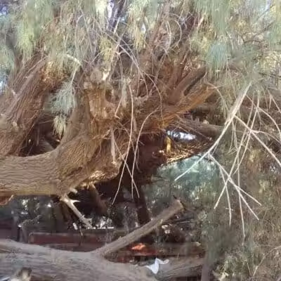 Esteban Park - Phoenix, AZ