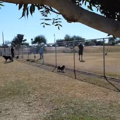 Grover Basin Dog Park - Phoenix, AZ