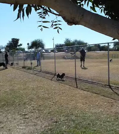 Grover Basin Dog Park - Phoenix, AZ