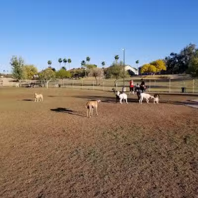Grover Basin Dog Park - Phoenix, AZ