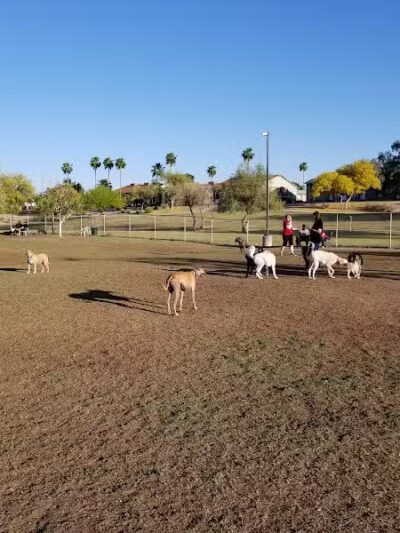 Grover Basin Dog Park - Phoenix, AZ