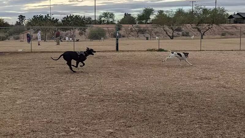 Grover Basin Dog Park - Phoenix, AZ