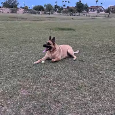 Grover Basin Dog Park - Phoenix, AZ