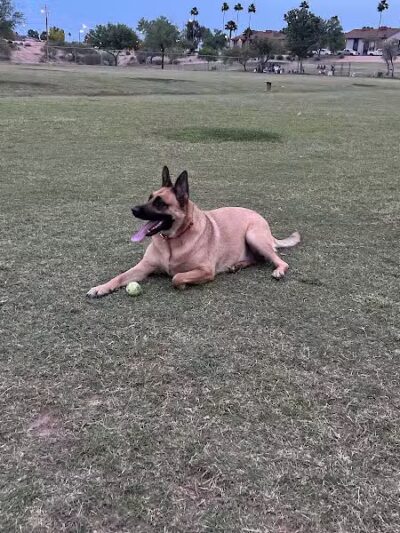 Grover Basin Dog Park - Phoenix, AZ