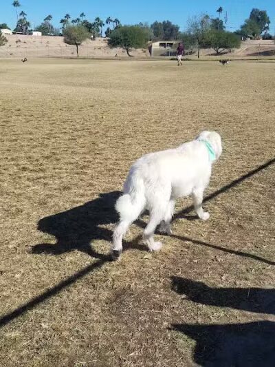 Grover Basin Dog Park - Phoenix, AZ