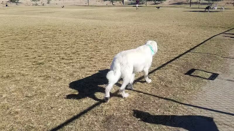 Grover Basin Dog Park - Phoenix, AZ
