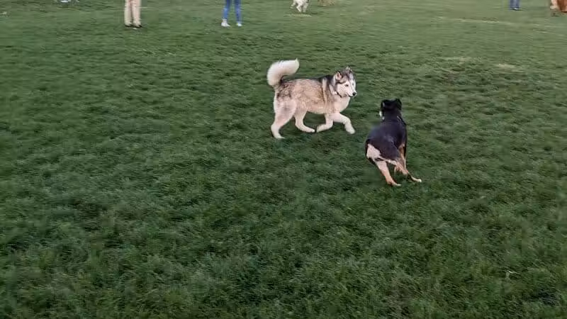 Hance Park Dog Park - Phoenix, AZ