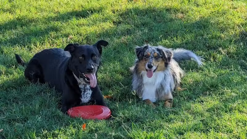 Hance Park Dog Park - Phoenix, AZ