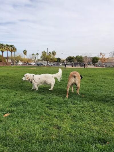 Hance Park Dog Park - Phoenix, AZ