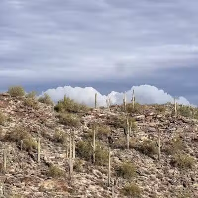 Holbert Trailhead - Phoenix, AZ
