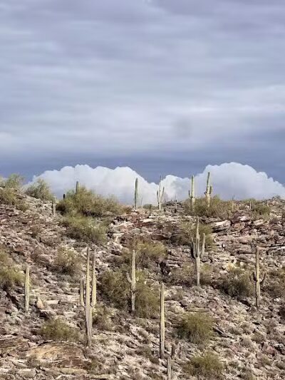 Holbert Trailhead - Phoenix, AZ