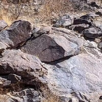 JUDITH TUNELL ACCESSIBLE TRAIL - Phoenix, AZ
