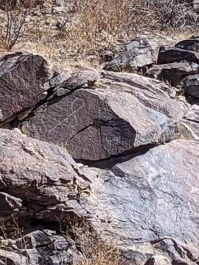 JUDITH TUNELL ACCESSIBLE TRAIL - Phoenix, AZ