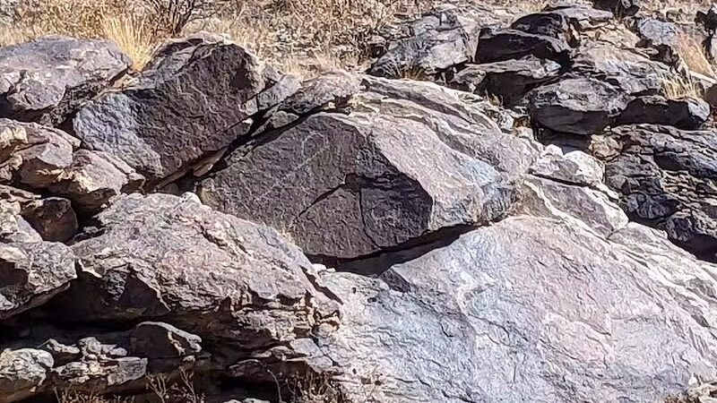 JUDITH TUNELL ACCESSIBLE TRAIL - Phoenix, AZ