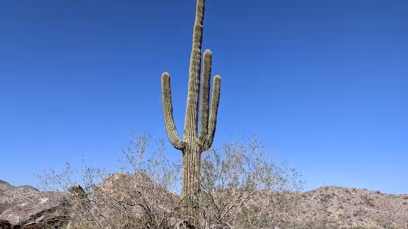 JUDITH TUNELL ACCESSIBLE TRAIL - Phoenix, AZ