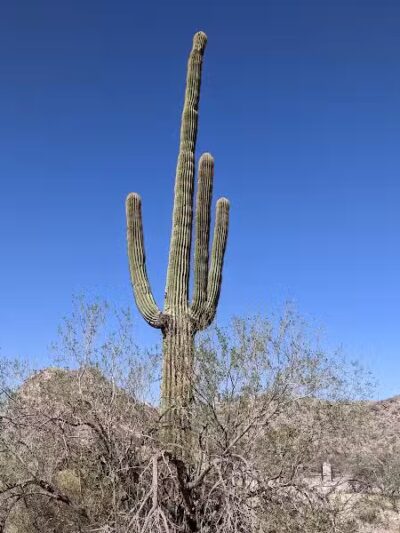 JUDITH TUNELL ACCESSIBLE TRAIL - Phoenix, AZ