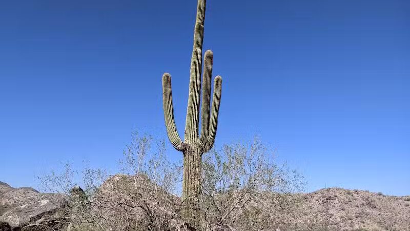 JUDITH TUNELL ACCESSIBLE TRAIL - Phoenix, AZ