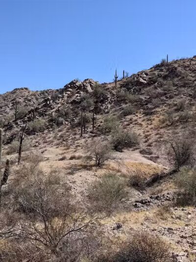 JUDITH TUNELL ACCESSIBLE TRAIL - Phoenix, AZ