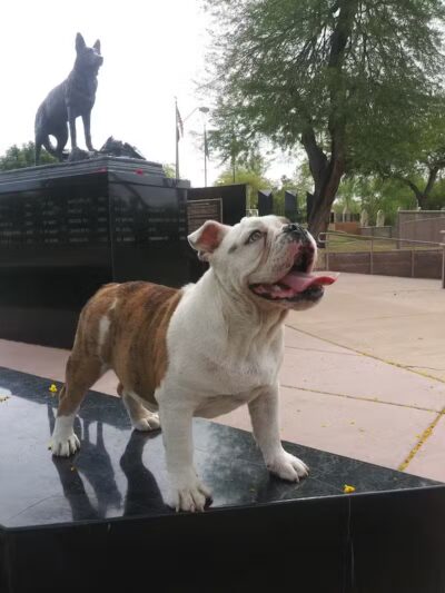 K9 Police Service Dog Memorial Park - Phoenix, AZ