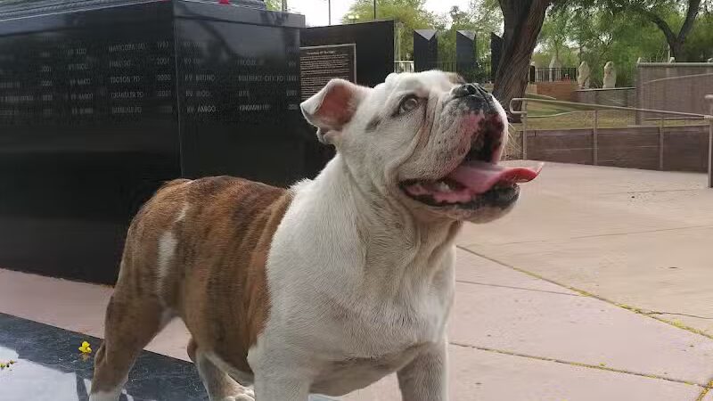 K9 Police Service Dog Memorial Park - Phoenix, AZ