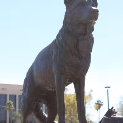 K9 Police Service Dog Memorial Park - Phoenix, AZ