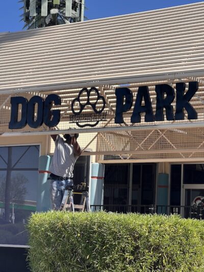 Meraki Paws N Play Indoor Dog Park and Social Club - Phoenix, AZ