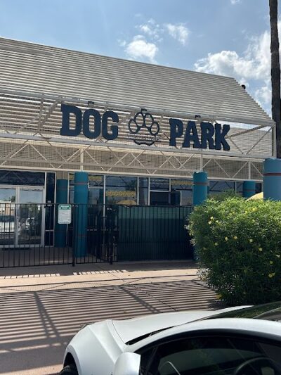 Meraki Paws N Play Indoor Dog Park and Social Club - Phoenix, AZ