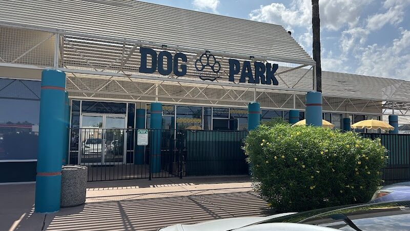 Meraki Paws N Play Indoor Dog Park and Social Club - Phoenix, AZ