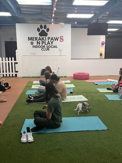 Meraki Paws N Play Indoor Dog Park and Social Club - Phoenix, AZ
