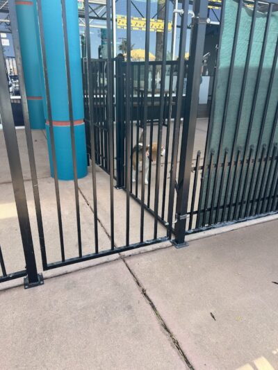 Meraki Paws N Play Indoor Dog Park and Social Club - Phoenix, AZ