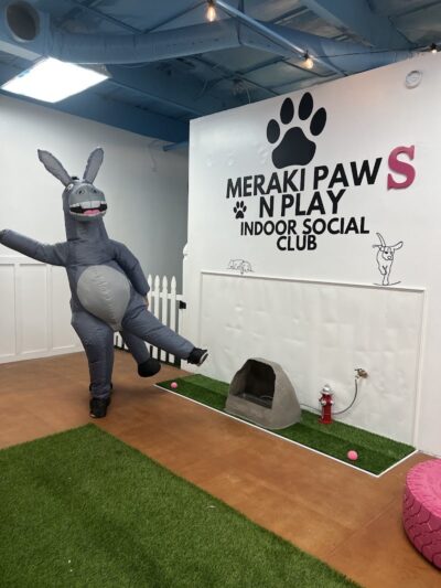 Meraki Paws N Play Indoor Dog Park and Social Club - Phoenix, AZ