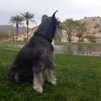 Mountain Park Ranch Hiking Trail - Phoenix, AZ