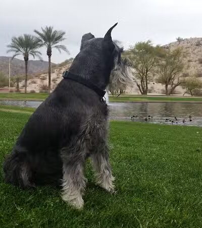 Mountain Park Ranch Hiking Trail - Phoenix, AZ