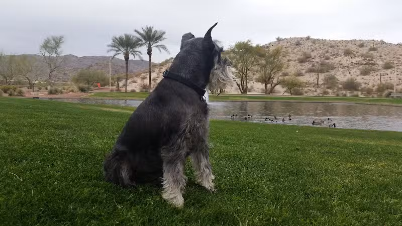 Mountain Park Ranch Hiking Trail - Phoenix, AZ