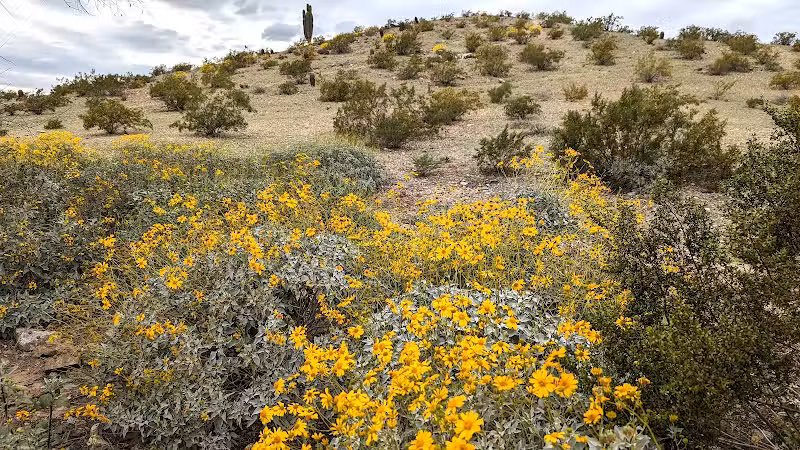 Mountain Park Ranch Hiking Trail - Phoenix, AZ