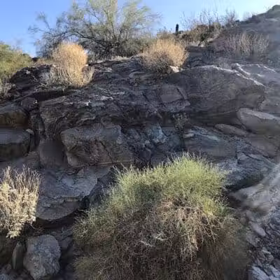 Mountain Park Ranch Hiking Trail - Phoenix, AZ