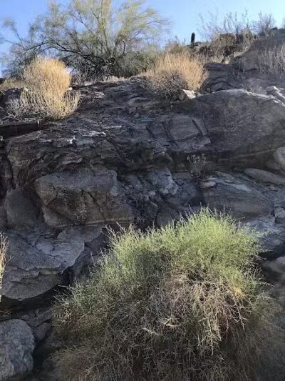 Mountain Park Ranch Hiking Trail - Phoenix, AZ