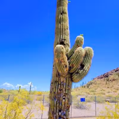 Papago Park - Phoenix, AZ