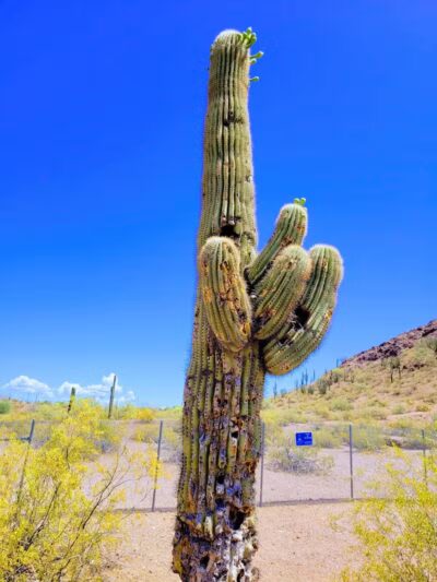 Papago Park - Phoenix, AZ