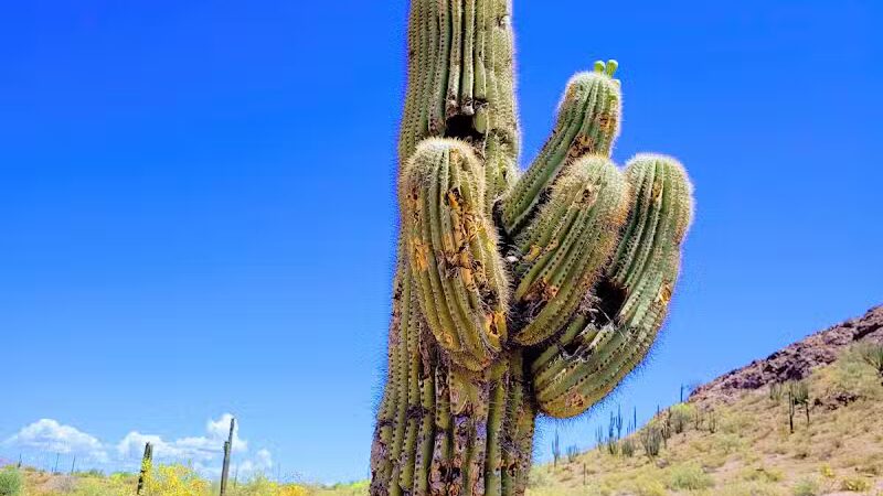 Papago Park - Phoenix, AZ