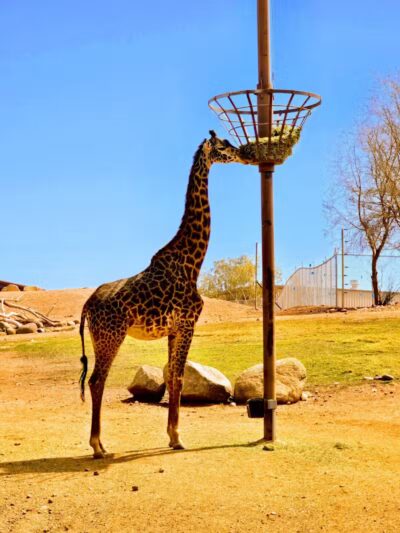 Papago Park - Phoenix, AZ