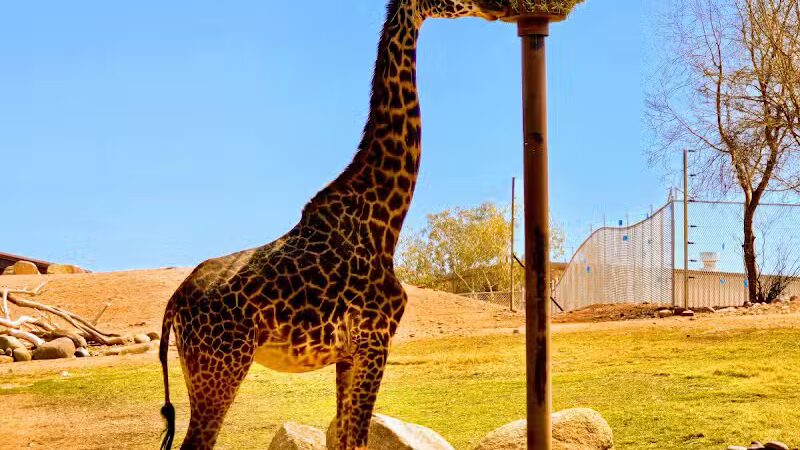 Papago Park - Phoenix, AZ