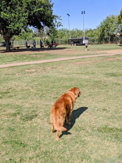 Paradise Valley Park - Phoenix, AZ