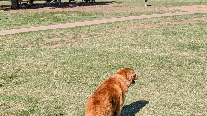 Paradise Valley Park - Phoenix, AZ