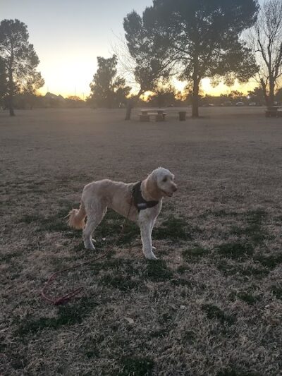 Paradise Valley Park - Phoenix, AZ