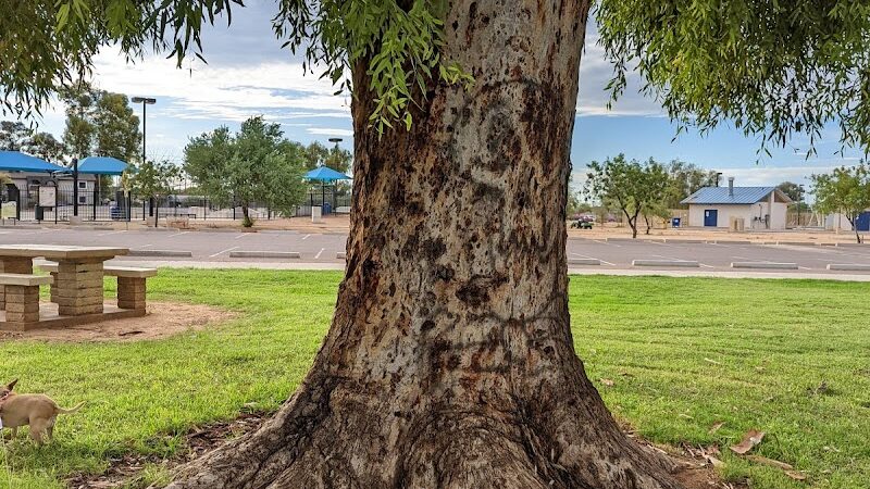 Paradise Valley Park - Phoenix, AZ