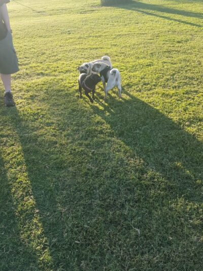 Paradise Valley Park - Phoenix, AZ
